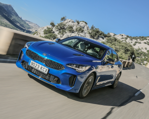 Kia Stinger blue dynamic  (7)